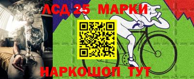 скорость Кингисепп